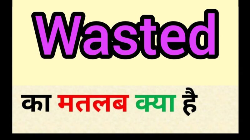 wasted meaning in hindi - Hình 2