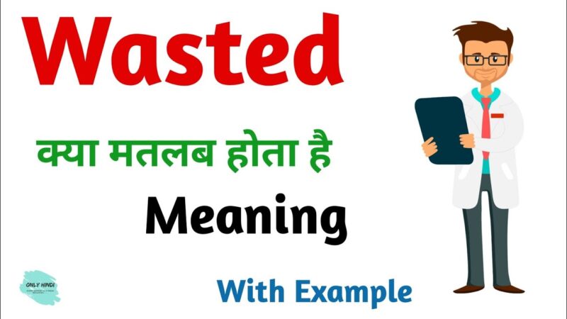 wasted meaning in hindi - Hình 3