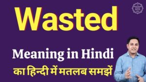 wasted meaning in hindi
