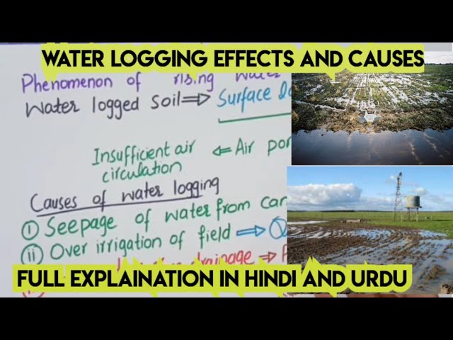 water logging meaning in hindi - Hình 4