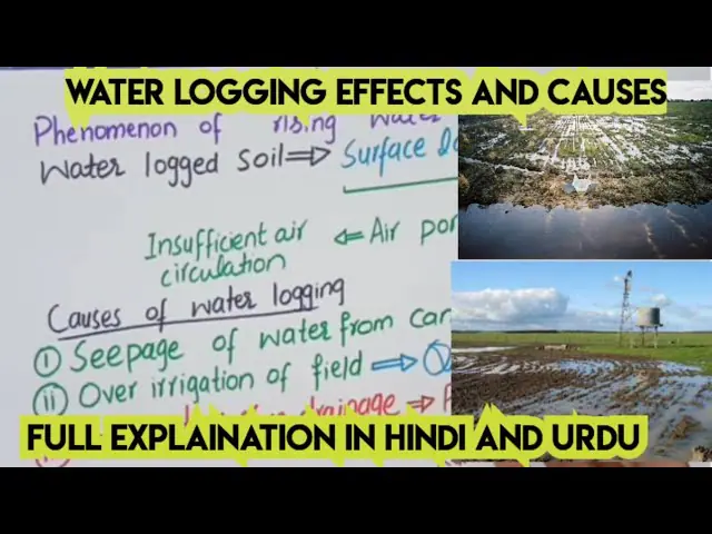 waterlogging meaning in hindi - Hình 4
