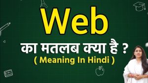 web meaning in hindi 1