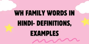 wh family words in hindi definitions examples
