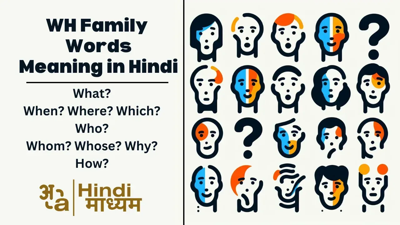 अंग्रेजी में प्रश्नवाचक शब्दों (Wh Words) का हिंदी अर्थ और व्याकरण
