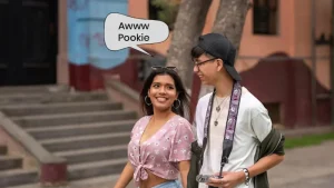 what is the meaning of pookie in hindi 1