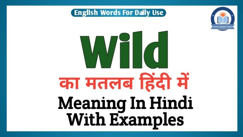 'Wild' का हिंदी में अर्थ और मूल परिभाषाएँ