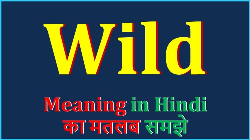 विभिन्न संदर्भों में 'Wild' का उपयोग और अर्थ