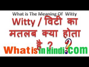 witty meaning in hindi 6