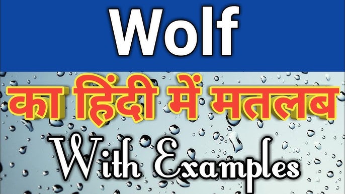 wolf meaning in hindi 1