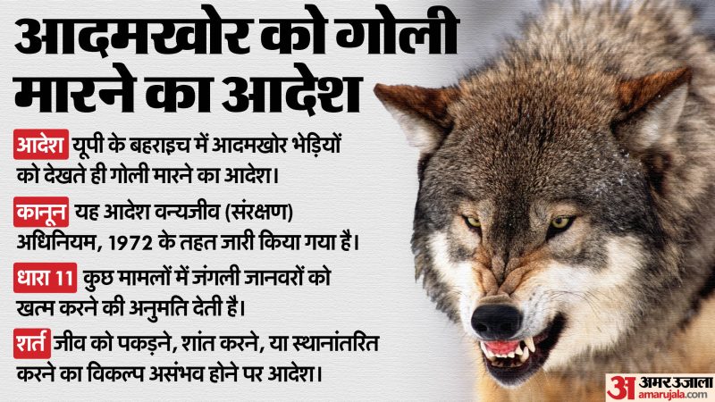 wolf meaning in hindi 4