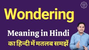 wondering meaning in hindi