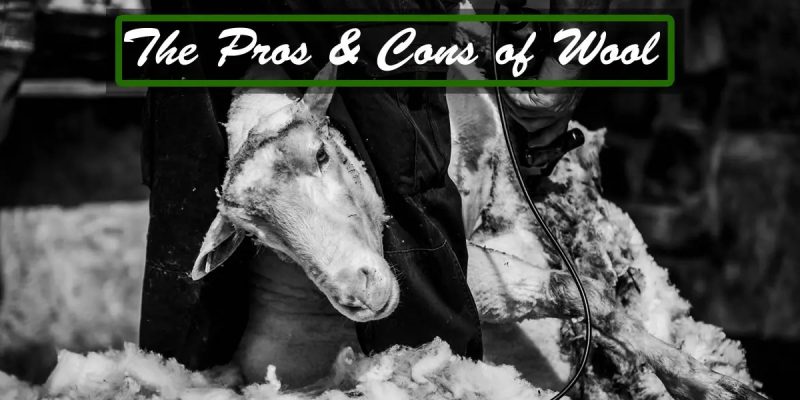 ऊन का उत्पादन: प्रक्रिया और चरण (Wool Production: Process and Stages)