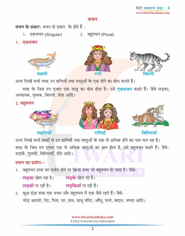 कलाई शब्द का व्याकरणिक विश्लेषण (कलाई शब्द का लिंग, वचन और वाक्य में प्रयोग जानने के लिए व्याकरणिक जानकारी)