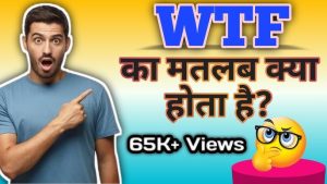 wtf meaning in hindi 2