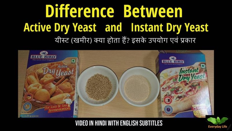 खमीर (Yeast) क्या है?  (यह खंड यीस्ट की परिभाषा, प्रकृति और इसके विभिन्न प्रकारों को बताएगा।)