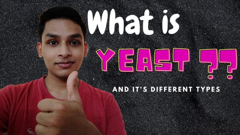 यीस्ट को कैसे स्टोर करें  (यह खंड बताएगा कि यीस्ट को कैसे सुरक्षित और प्रभावी रखा जाए।)