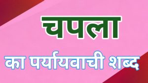 yell meaning in hindi 1
