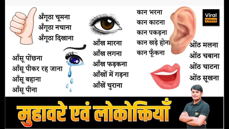 चिल्लाना: उपयोग के उदाहरण और वाक्य (Chillana: Upyog ke udaharan aur vakya)