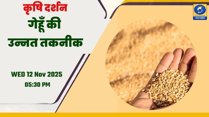 yield meaning in hindi 3