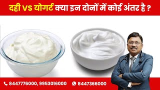 दही और योगर्ट में अंतर: बारीकियों को समझना