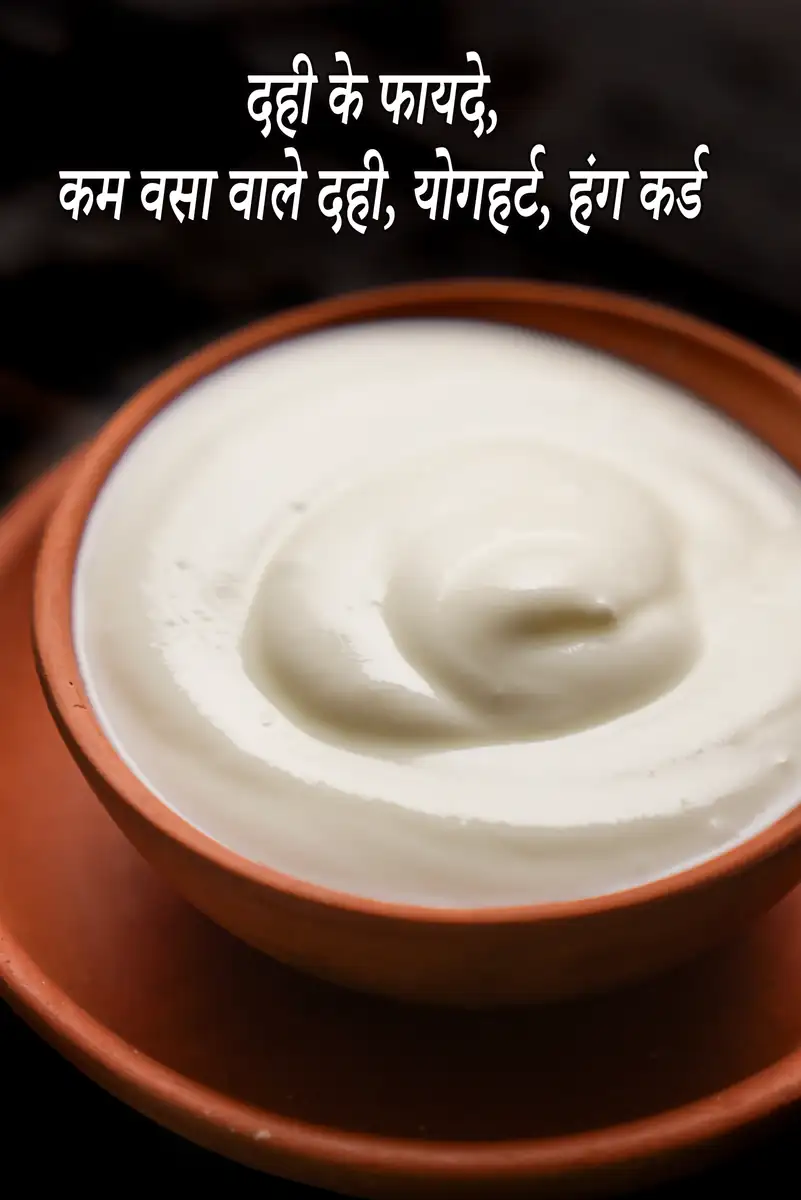 भारतीय व्यंजनों और संस्कृति में दही/योगर्ट का महत्व