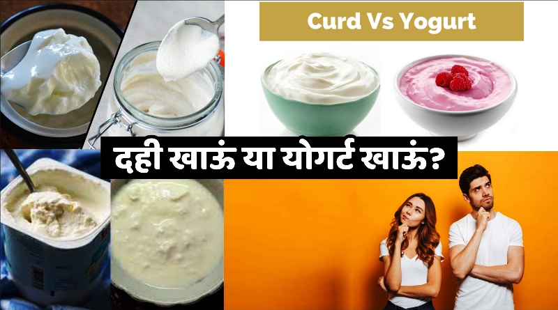 दही और योगर्ट के विभिन्न प्रकार और उनसे बनने वाले उत्पाद