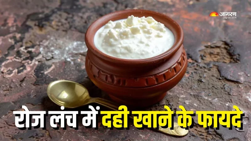 दही का हिंदी में अर्थ: परिभाषा और मूल बातें