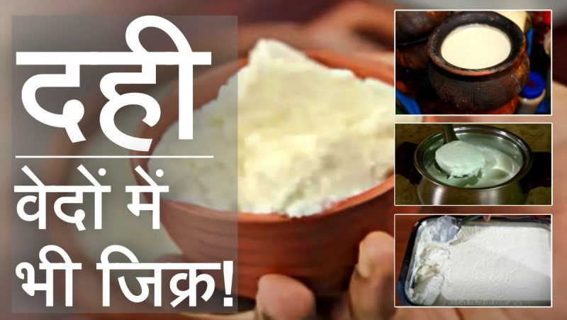 दही शब्द की उत्पत्ति और इतिहास