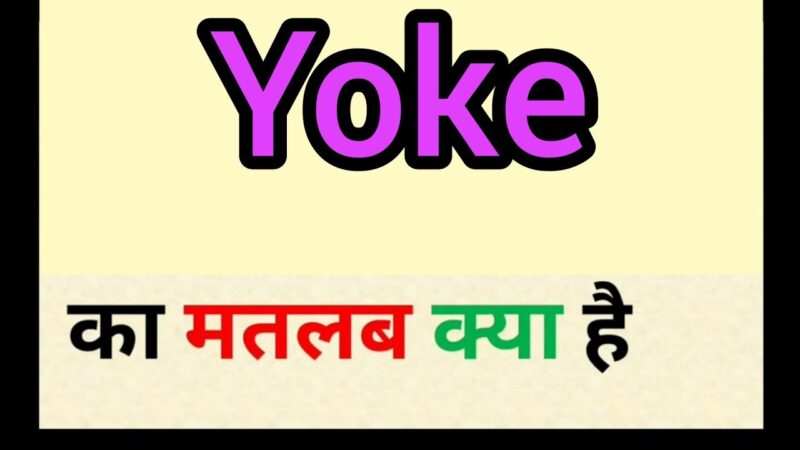 yoke meaning in hindi - Hình 2