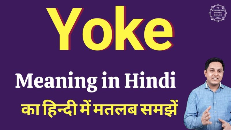 yoke meaning in hindi - Hình 1